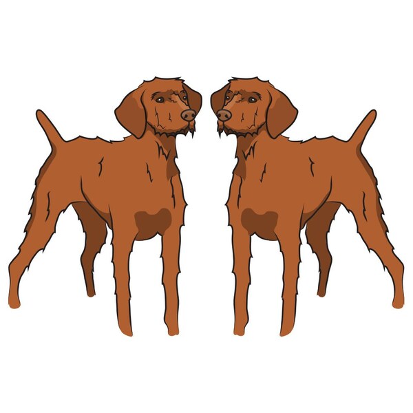 Wirehaired Vizsla Dog Decal, Dog Lover Decor Vinyl Sticker